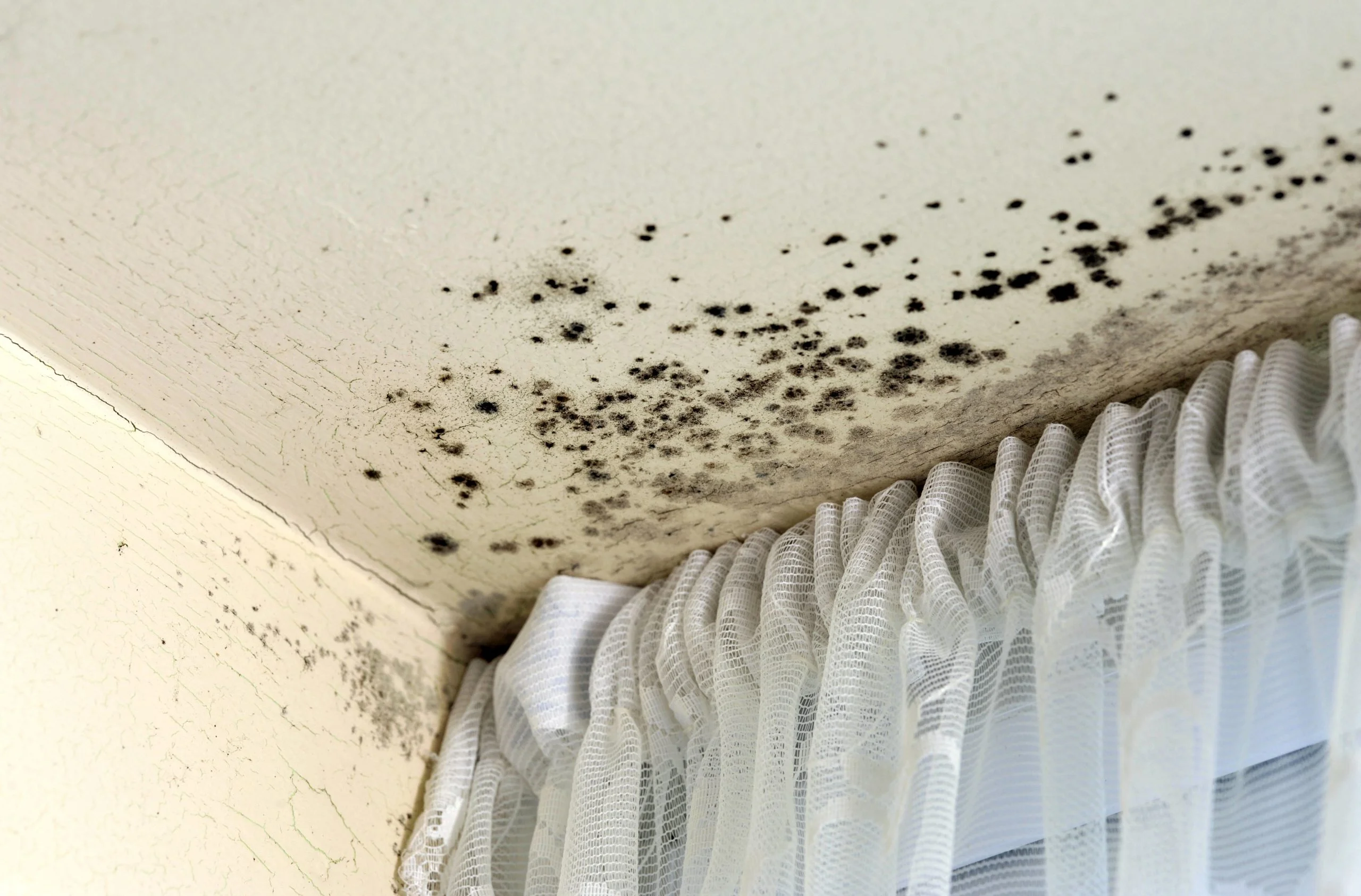 10- Prevent and Remove Damp from Your Caravan
