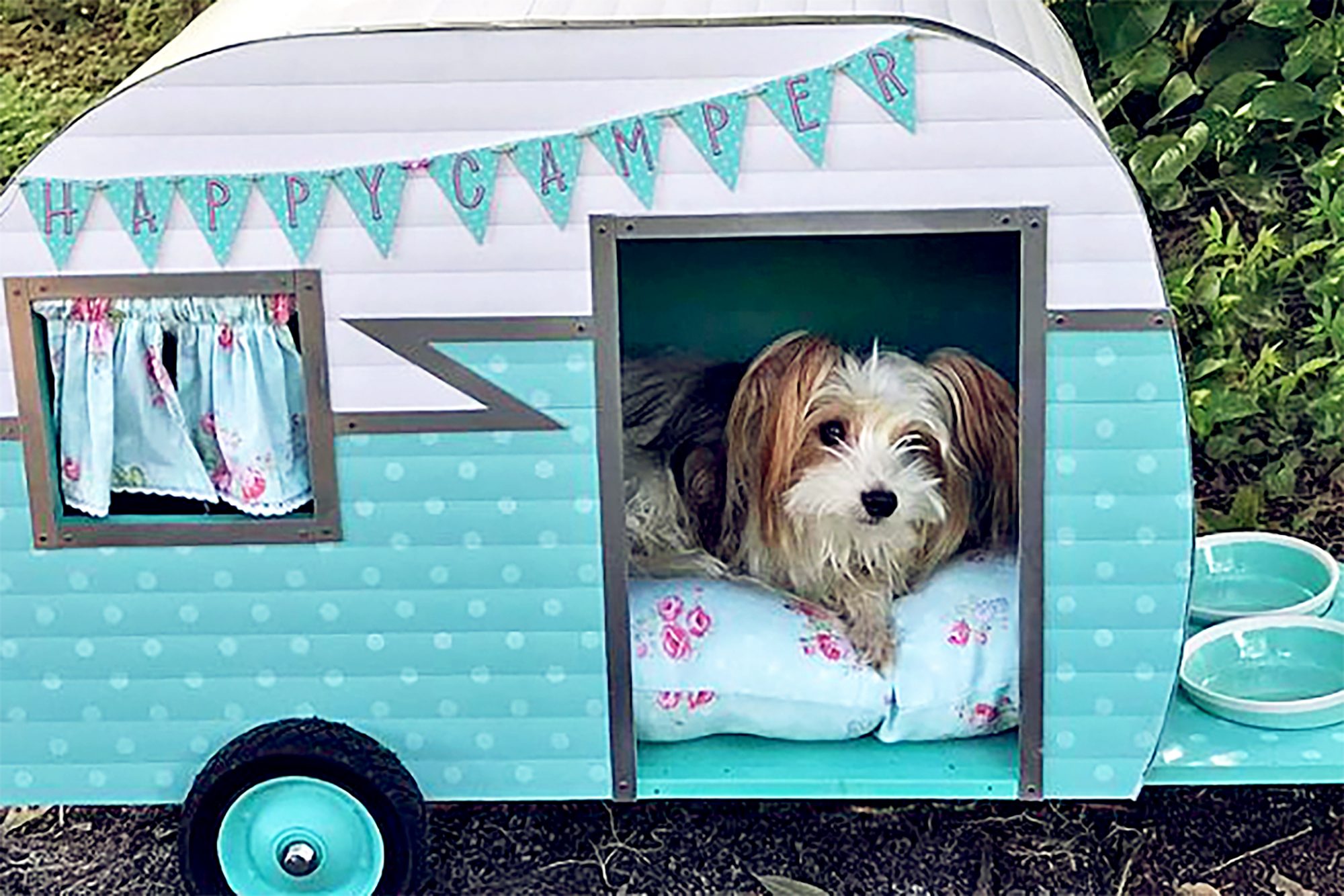 Bella is excited to be home with her new caravan dog enclosure!